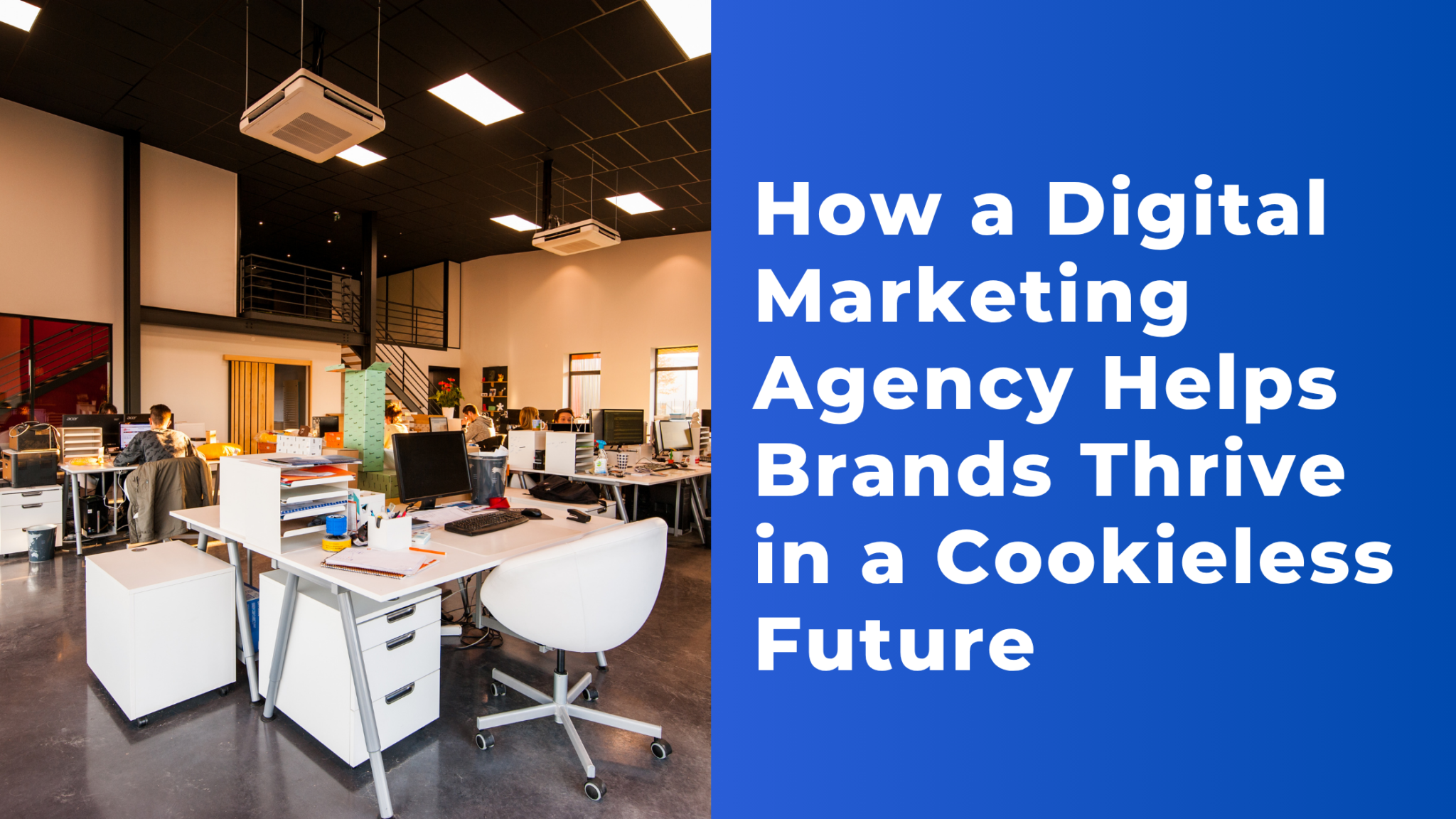 How the Best Digital Marketing Agency Helps Brands Thrive in a Cookieless Future